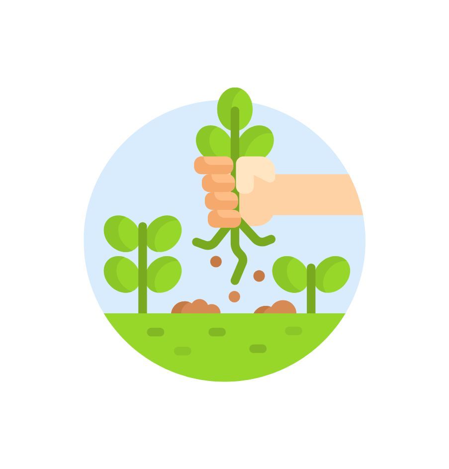 La recherche constante de solutions de désherbage écologiques