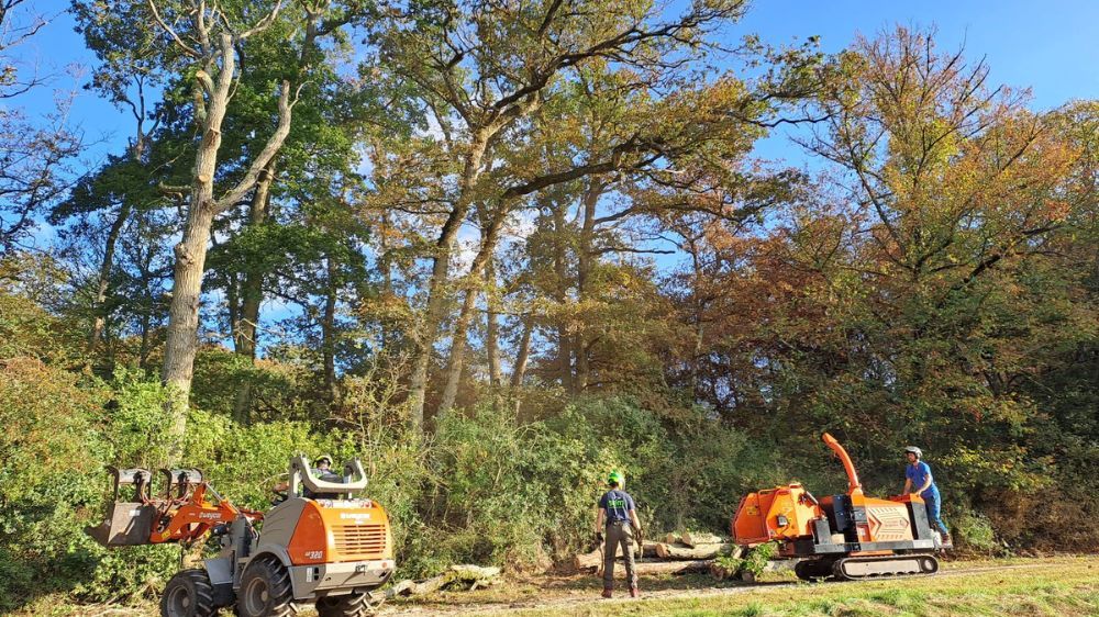 site internet (1).jpg