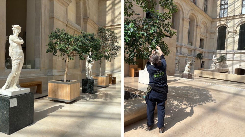 site internet (1).jpg