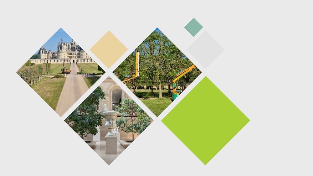 site internet (4).jpg